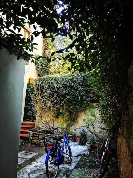 Florentine Style Apartment In San Frediano Firenze Eksteriør billede